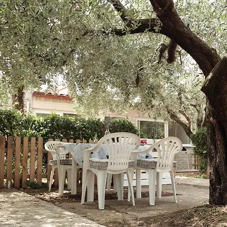 Fresh Apartment, Big Backyard And Free Parking * 메덜린