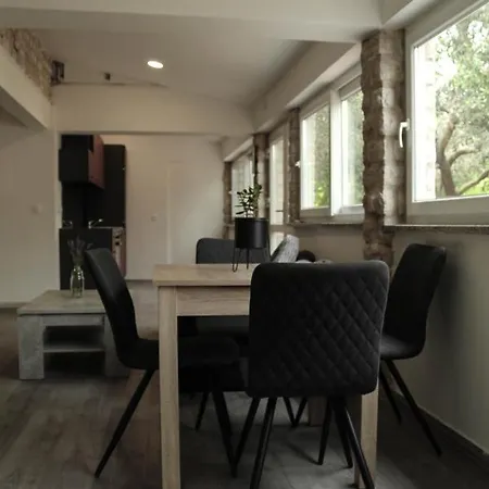 Fresh Apartment, Big Backyard And Free Parking